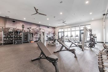 a gym with weights machines and a wall mural of gym equipment